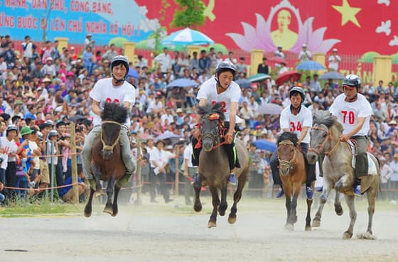 Hội đua ngựa Bắc Hà 2016