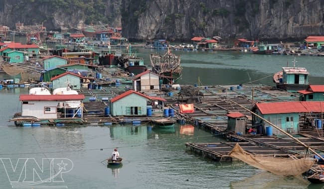 Khám phá làng chài cổ nhất Việt Nam