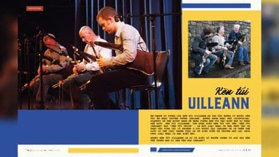 Kèn túi Uilleann